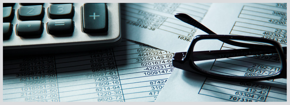 Michigan Accounting Services